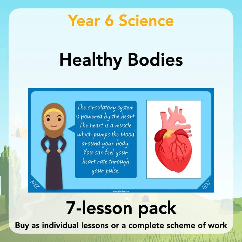 Year 6 Science Lesson Packs, Worksheets & Topics